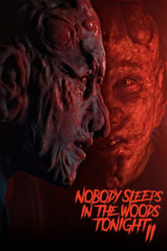 Nobody Sleeps in the Woods Tonight 2