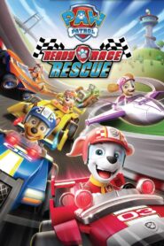 PAW Patrol: Ready, Race, Rescue!